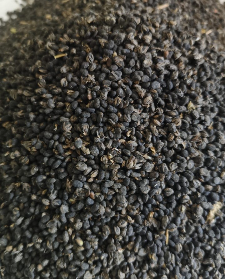 Karpoga Arisi (Bavanchi) - Purity Guaranteed
